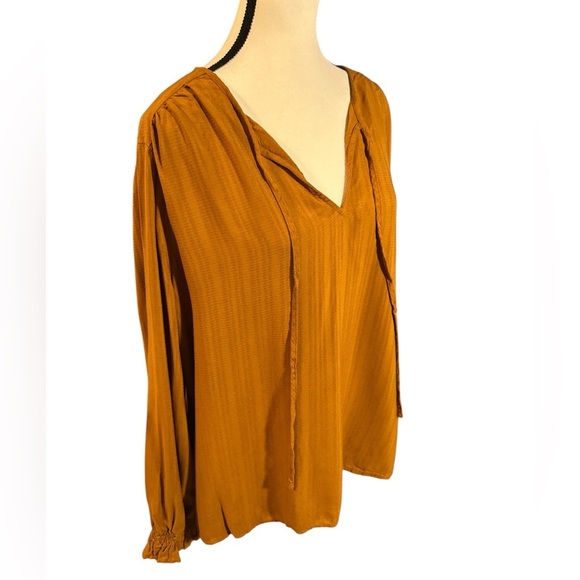 Knox Rose Golden Blouse - Picture 2 of 6